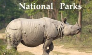 list of National Parks in India