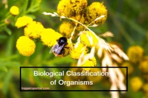 Biological Classification of Organisms