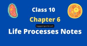 Chapter 6 Life Processes Notes