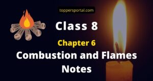 Combustion and Flame Class 8 Notes